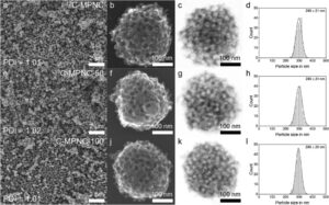 aenm202406164 fig 0001 m