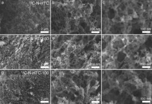 aenm202406164 fig 0004 m